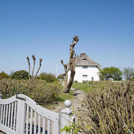 Wattkoje